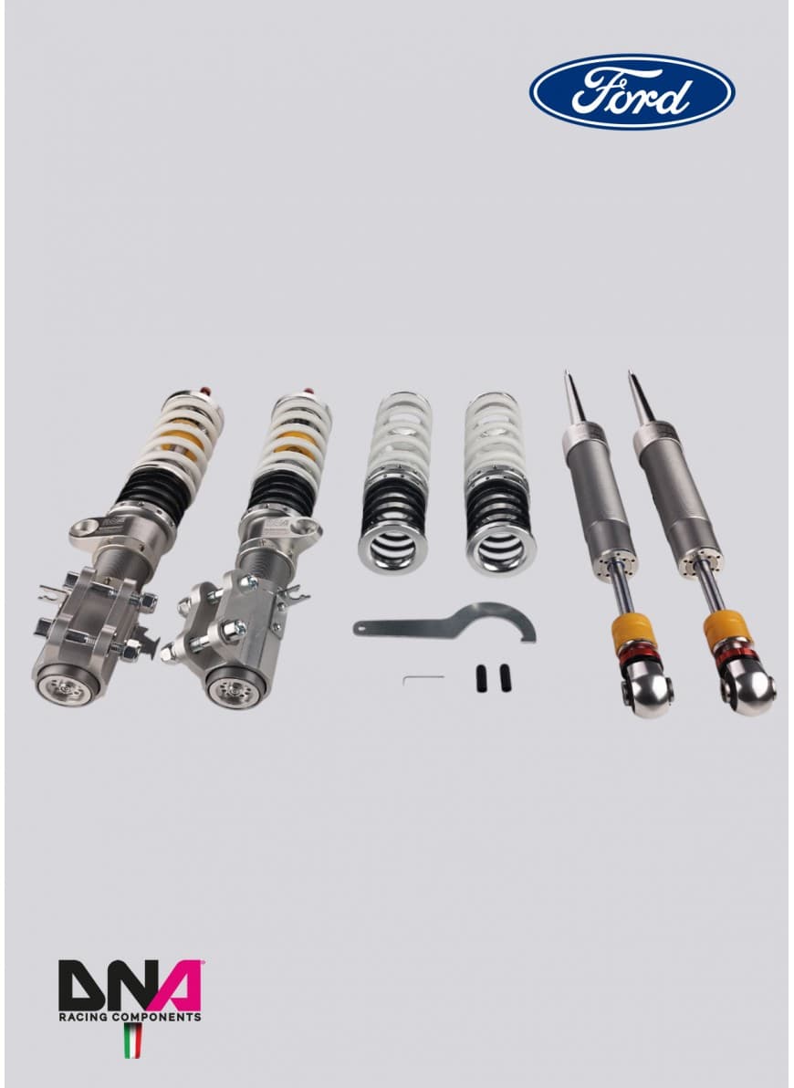 DNA Racing Zestaw zawieszenia WRS Ford Fiesta MkVIII ST (PC2146)
